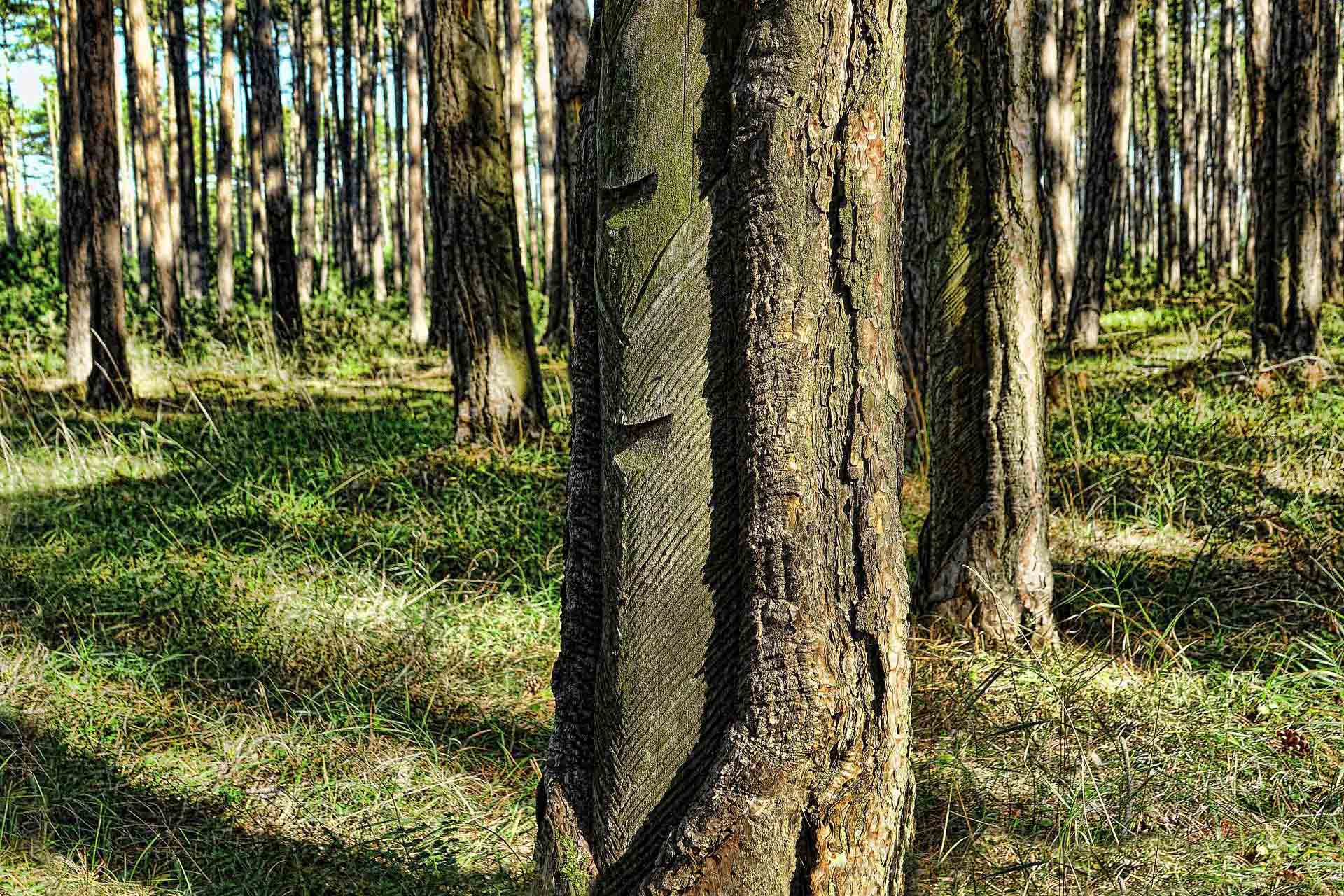 blog